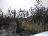 broads/nay2/P1010078 (WinCE).JPG